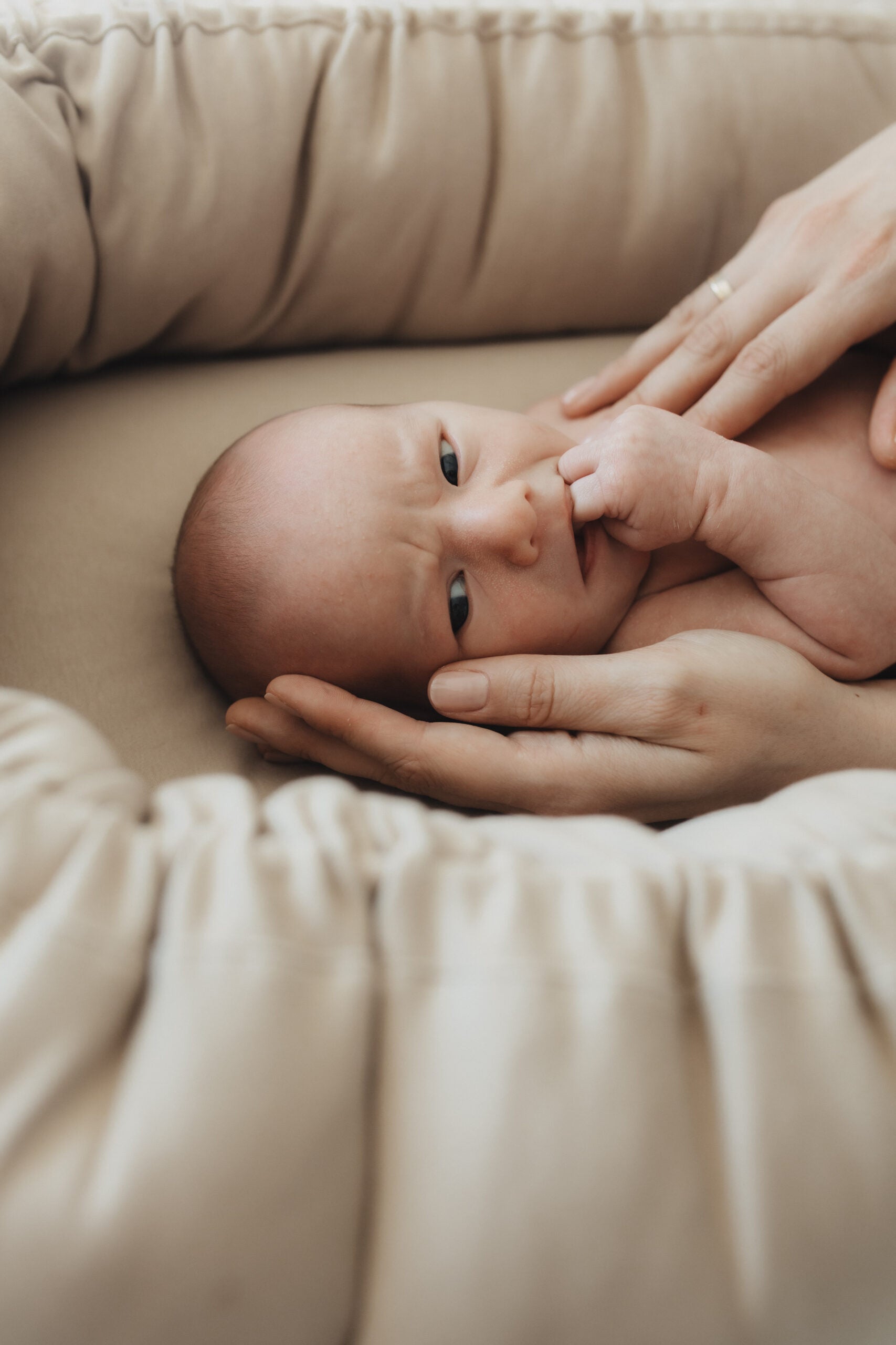 Kokon niemowlęcy The Slings Biscuit