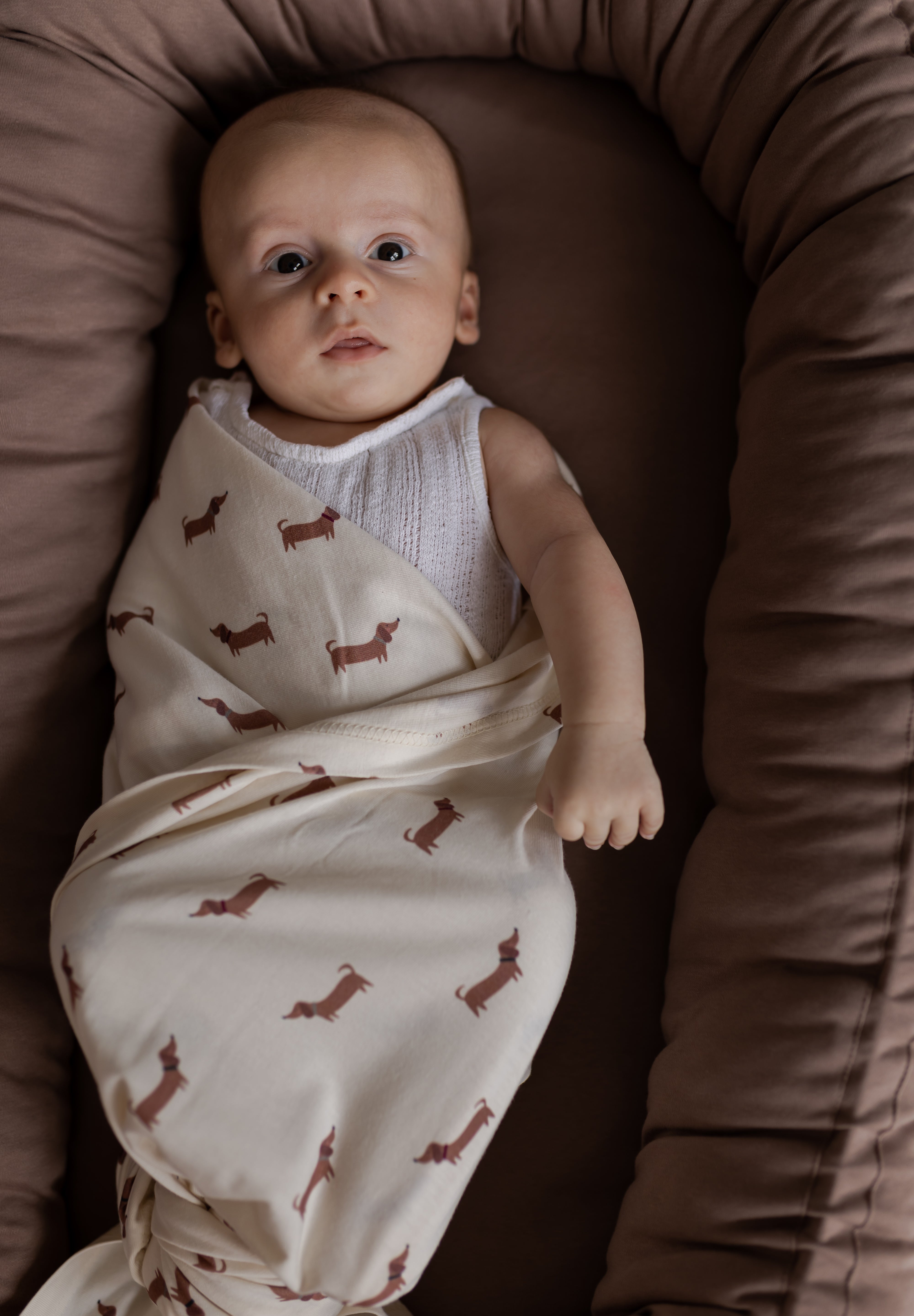 Otulacz Baby Burrito Moffin