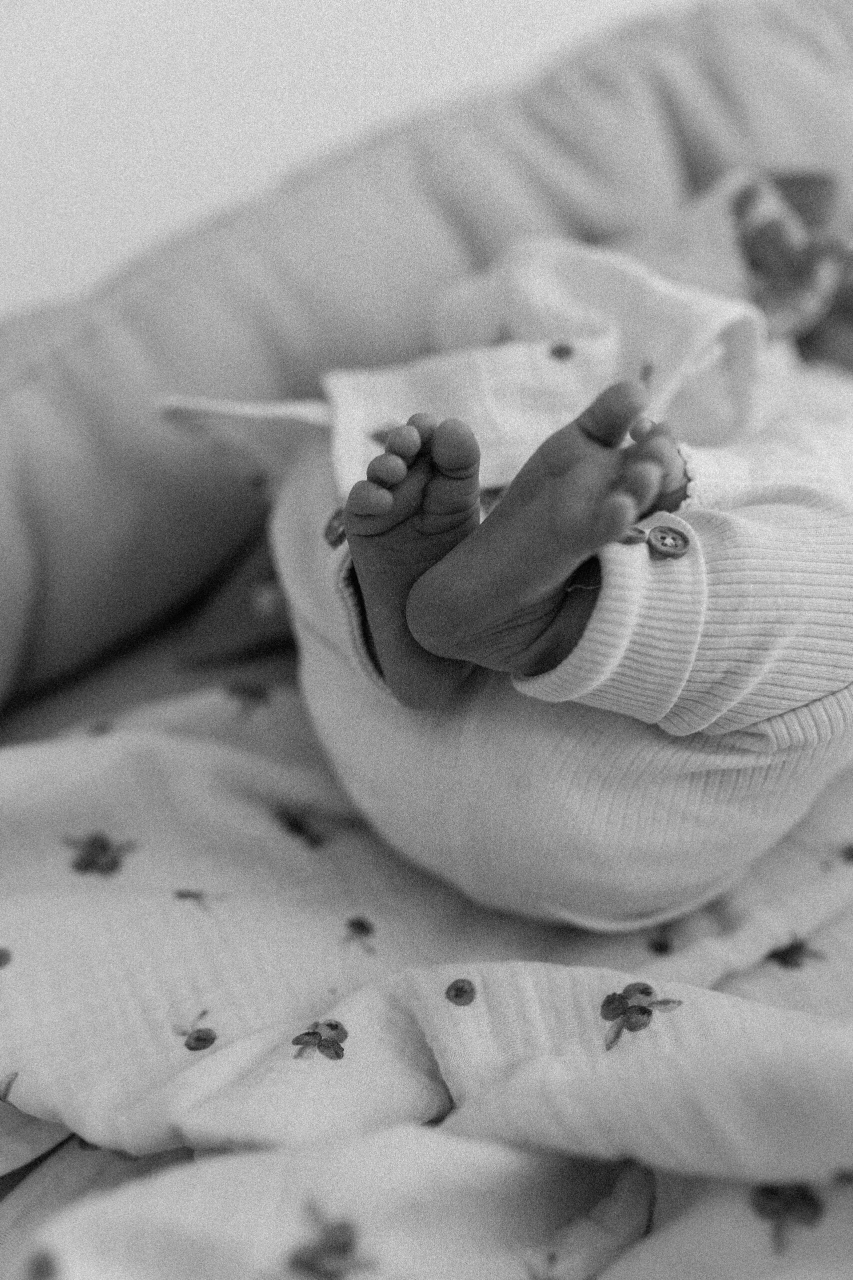 Mini Blueberry & Ecru - zestaw małych pieluszek muślinowych