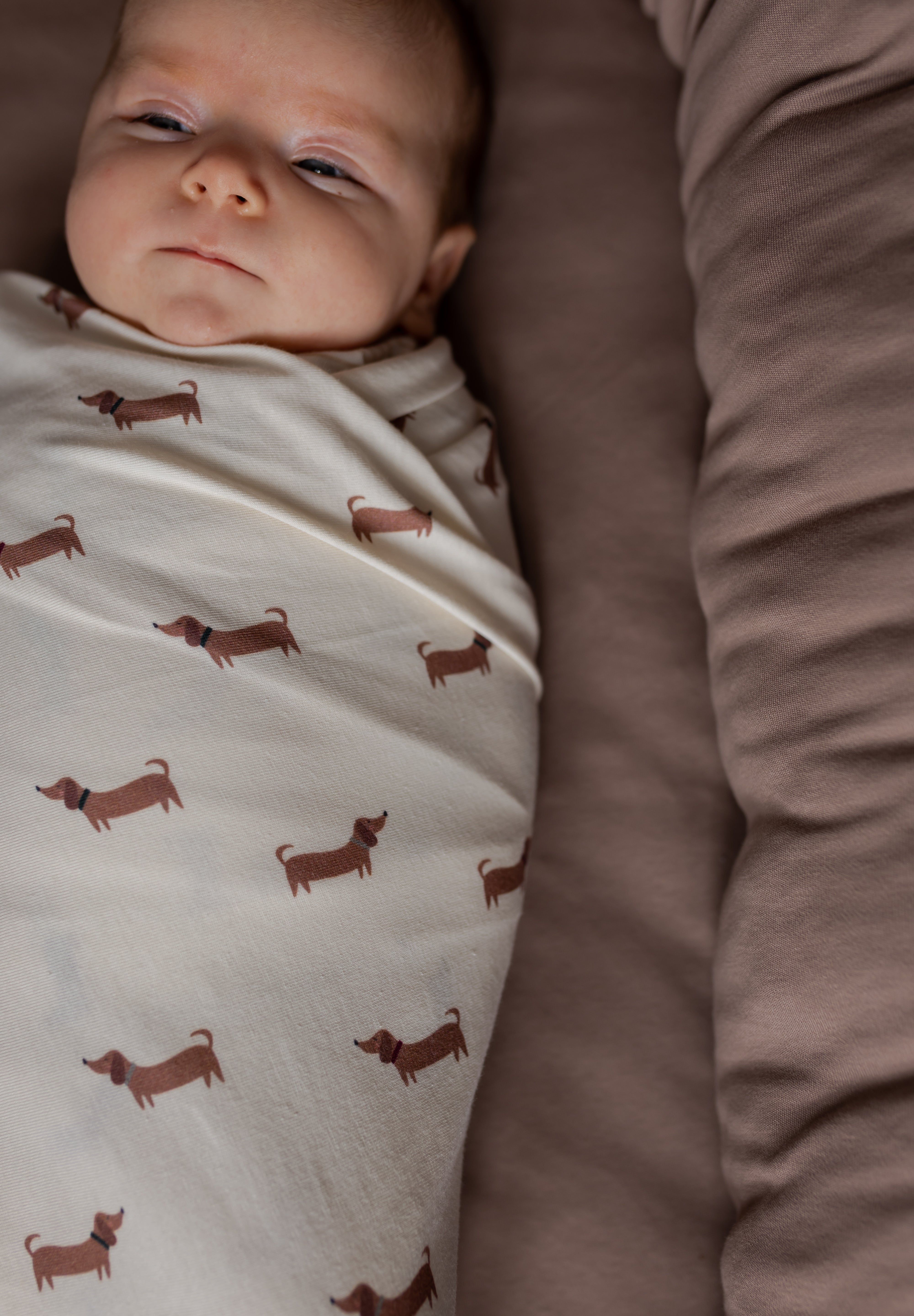 Otulacz Baby Burrito Moffin